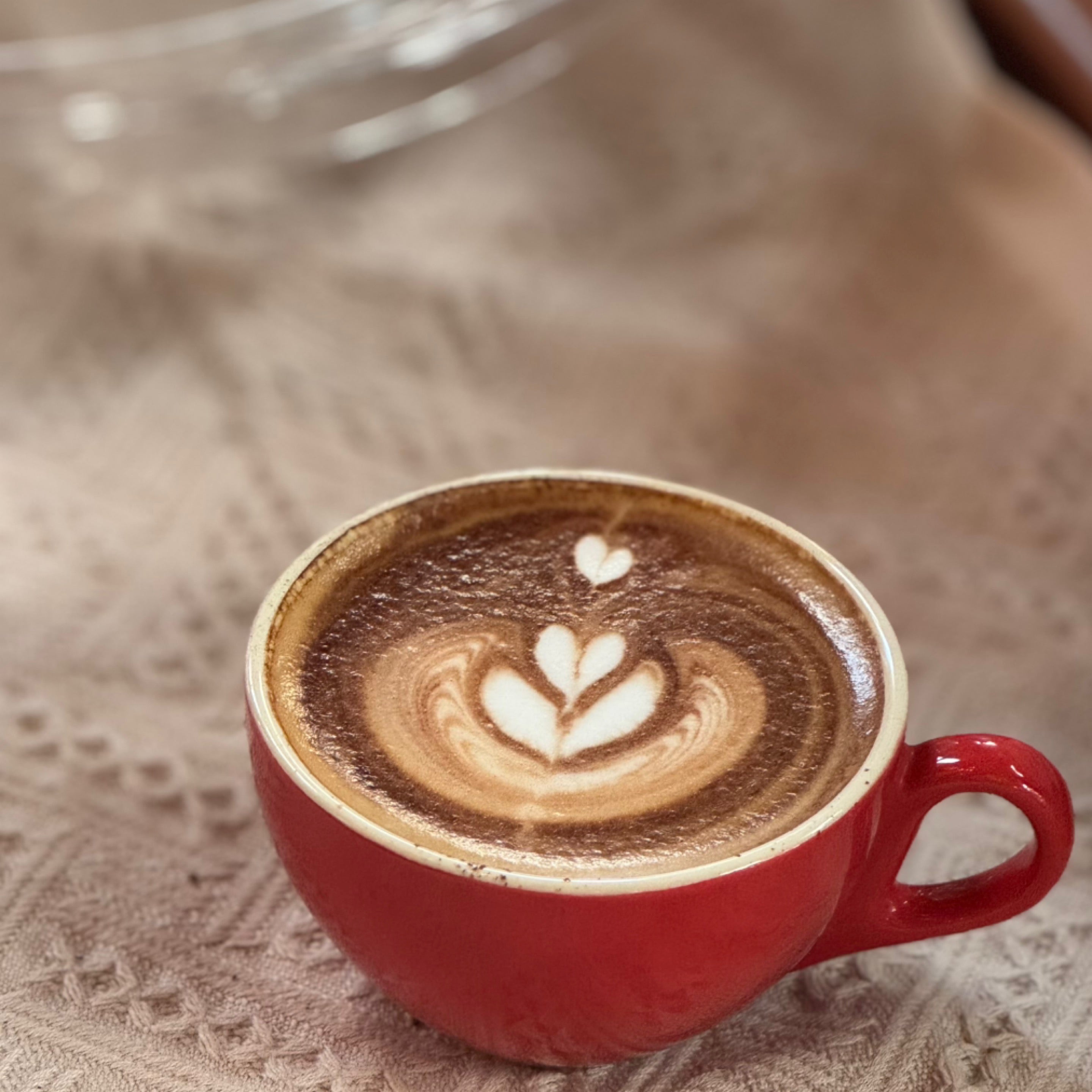 Mocha : Hot / Cold | Mona & CO